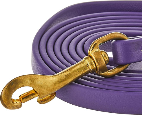 J&J Dog Supplies Biothane Dog Leash, 1/2" Wide by 6' Long, Purple...