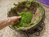 SuperMoss (21509) Sheet Moss Preserved, Fresh Green, 2oz...