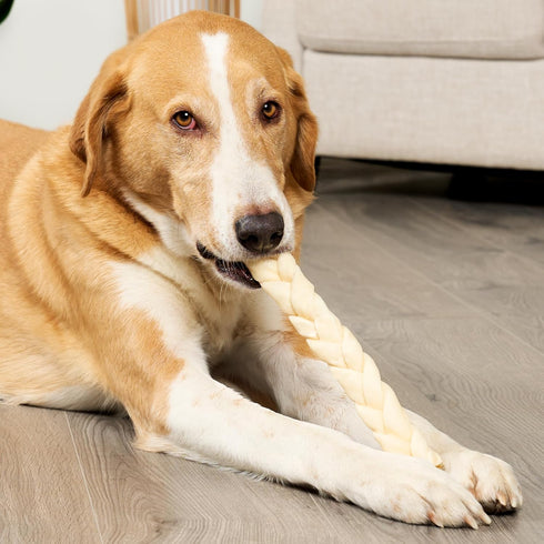 USA Beefhide Braids 12-13" Dog Chew Treats - Natural Flavor, 2 Count/1 Pack...