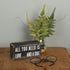 Primitives by Kathy Rustic Wooden Decor Sign - 'All you need is love...and dog' - Office/Farmhouse Decor, Dog Lovers Gift, 5"...