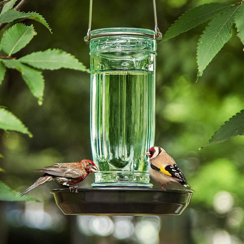 Kingsyard Bird Water Feeder, 16 Oz Glass Bird Water Dispenser Bird Waterer with Metal Hanging for Garden Yard Outside Decoration, Green...