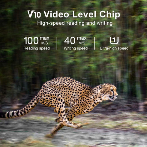 LaView 64GB Micro SD Card, Micro SDXC UHS-I Memory Card – 100MB/s,667X,U1,C10, FHD Video V10, A1, FAT32, High Speed Flash TF Card P500 for Compute...