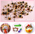 TOAOB 100pcs Yellow Glass Eyes Kits 3mm to 12mm Assorted Sizes for Crafts Needle Felting Bears Dolls Decoys Sewing...