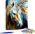 Diymood Painting Acrylic Paint by Number Kits for Students Beginner, DIY Oil Painting Horse Oil Painting Drawing Wall Home Decor 16x20inch...