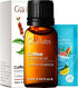 Gya Labs Coffee Essential Oil for Diffusers - 0.34 Fl Oz - 100% Pure Natural Coffee Oil for Hair, Skin, Aromatherapy Fragrance Bath Bombs, Spray &...