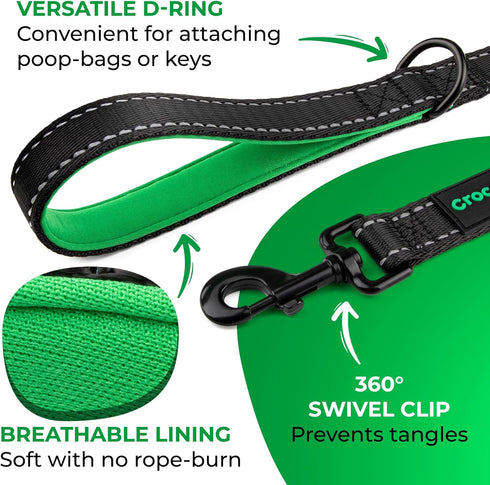 6 Foot Long Dog Leash with 2 Padded Handles - for Large and Medium Dogs - Walking Lead with Reflective Stitching and Traffic Handle for Control an...