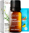 Gya Labs Roman Chamomile Essential Oil for Diffuser - 0.34 Fl Oz - 100% Pure Natural Roman Chamomile Oil for Skin, Hair, Face, Aromatherapy & Cand...