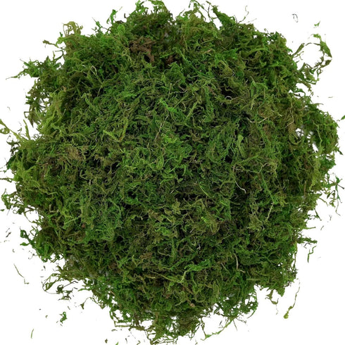 Usmola Fake Moss, Artificial Green Moss for Potted Plants Fairy Garden Accessories, 4OZ (Fresh Green)...