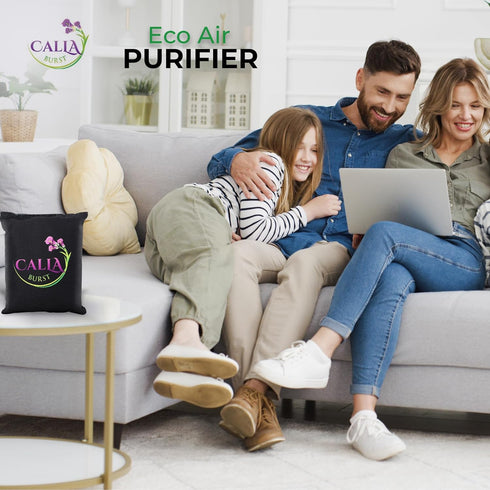Bamboo Charcoal Air Purifier Bags - Odor Absorber & Eliminator for Home, Car, Pets, Activated Charcoal Natural Freshener, Eco-Friendly & Reusable ...