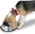 Proselect Stainless Steel X-Super Heavyweight Non-Tip Pet Bowl, 9-Inch, 3-Quart...