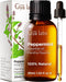 Gya Labs Peppermint Oil for Diffuser & Aromatherapy - Natural Peppermint Mint Essential Oils for Skin, Hair, DIY, Self-Care - Cooling, Minty Scent...