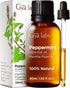 Gya Labs Peppermint Oil for Diffuser & Aromatherapy - Natural Peppermint Mint Essential Oils for Skin, Hair, DIY, Self-Care - Cooling, Minty Scent...
