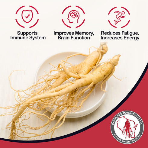 Dairyland American Ginseng Capsules, 75 ct (2000 mg) – Concentrated Wisconsin Ginseng Root Extract – Daily Herbal Supplement for Immune Support...