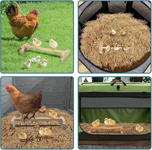 PETSFIT Chick Roosting Bar Prevent Rotation Design, Solid Wooden Thicken Rooster Perch for Coop and Brooder for Birds, Baby Chicks...