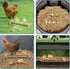 PETSFIT Chick Roosting Bar Prevent Rotation Design, Solid Wooden Thicken Rooster Perch for Coop and Brooder for Birds, Baby Chicks...