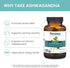 Himalaya Organic Ashwagandha, 60 Day Supply, Herbal Supplement for Stress Relief, Energy Support, Occasional Sleeplessness, Organic, Non-GMO, Vega...
