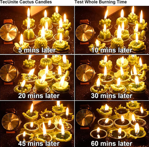 12 Pieces Cactus Tealight Candles Handmade Delicate Succulent Cactus Candles for Party Wedding Spa Home Decoration Gifts (Stylish Style)...