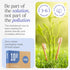 Bamboo Toothbrushes Medium Bristles 10 Pack - BPA Free Medium Bristles Toothbrushes for Adults | Eco-Friendly, Compostable & Biodegradable Toothbr...