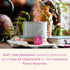ORGANIC INDIA Tulsi Sweet Rose Herbal Tea - Holy Basil Leaf, African Basil, Chamomilie, Lemon Myrtle, Stress Relieving, Immune Support, USDA Certi...