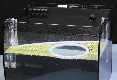 Aquarium Floating Plant Corral, As The Water Level Risers and Falls Automatically...