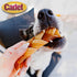 Cadet Chewalicious Chewy 'N Crunchy Braid Dog Treats, Limited Ingredient Rawhide-Free Dog Chews, Long-Lasting Made with Real Chicken, 3 Count (Pac...