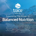 "Trace Minerals | ConcenTrace Capsules |Daily Magnesium and Potassium Supplement | Certified Vegan, Non-GMO, Gluten-free | Tasteless | 90 Capsules...