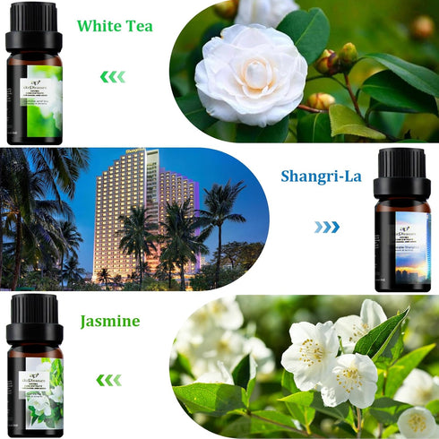 Flower Essential Oils Set, 6x10ml Aromatherapy Oil Gift Kit for Diffuser, Fragrance, Humidifier, Air Purifier- Gardenia, Magnolia, Shangri-La, Jas...