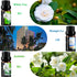 Flower Essential Oils Set, 6x10ml Aromatherapy Oil Gift Kit for Diffuser, Fragrance, Humidifier, Air Purifier- Gardenia, Magnolia, Shangri-La, Jas...