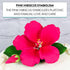 Global Sugar Art Hibiscus Sugar Cake Flowers Spray, Hot Pink Hawaiian Cake Flower Large, 1 Count by Chef Alan Tetreault...