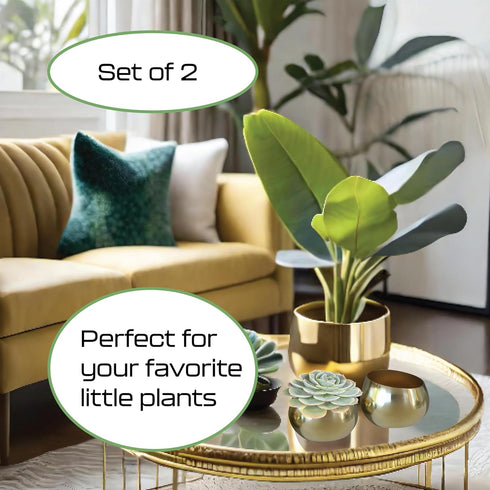 Birchwood & Moss Air Plant Pots Set of 2 - Mini 3in Gold Planter Pots for Indoor Plants, Brass Plant Holder Succulent Cactus Pot Air Plants Frame ...