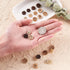 Pandahall 120pcs Coconut Shell Sewing Buttons 2 Holes Flower Leaf Basic Sewn-On Craft Buttons 12 Styles for DIY Sewing Clothing Accessories Scrapb...