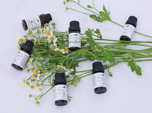 Essential Oils Set 100% Pure Natural DR.NITTA Top 6 Oils for Massage,Diffusers,Humidifier,Candle Making Lavender, Eucalyptus,Orange, Peppermint, L...