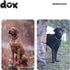 DDOXX Dog Collar Air Mesh, Adjustable, Padded | Many Colors & Sizes | for Small, Medium & Large Dogs | Collars cat Puppy pet Kitten | Yellow, XS...