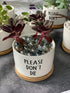 Funny White Ceramic Engraved Mini Succulent Cactus Planter Pot, 1 Pack 3.5 inch Succulent Indoor Flower Plant Pots with Bamboo Tray for Home Offic...