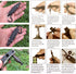 Buspoll Phillips screwdriver keychain tool flat screwdriver and nutdriver hex wrench hand tool...