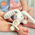 RaZbaby RaZbuddy RaZberry Teether/Pacifier Holder w/Removable Baby Teether Toy - 0M+ - Bpa Free (Dragon)...