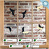 Brand 6 Flying Swallow Static Cling Decals for Glass Windows & Doors - Anti Collision Bird Stickers Decor, Navy-Cream-Orange, Reusable, Made in US...