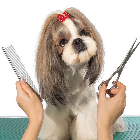 5 Pieces Dog Flea Comb Pets Grooming Comb Kit for Small Dogs Puppies Stainless Steel Teeth Dog Comb Tear Stain Remover Comb 2-in-1 Dog Combs with ...