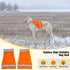 2 Pieces Dog Reflective Vest for Hunting, High Visibility Bright Orange Dog Safety Vest, Soft Adjustable Reflective Dog Jacket for Outdoor Walking...