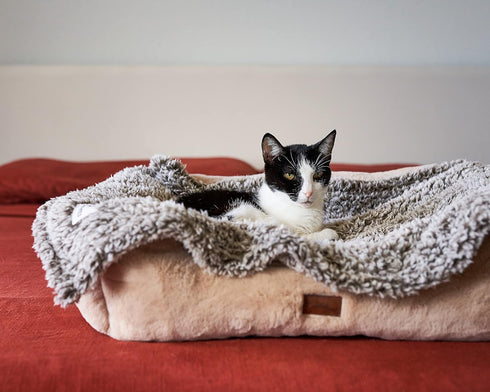 Pet Parents Pet Blanket, Water Resistant Cat Blanket, Dog Blanket, Puppy Blanket, Dog Blanket for Small Dogs, Dog Blanket for Medium Dogs, Dog Bla...