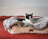 Pet Parents Pet Blanket, Water Resistant Cat Blanket, Dog Blanket, Puppy Blanket, Dog Blanket for Small Dogs, Dog Blanket for Medium Dogs, Dog Bla...