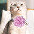 Dog Collar Flowers Attachement Cat Bow Tie Flora Accessories Set-Girl or Boy Pet Grooming OD 8cm 4pcs...