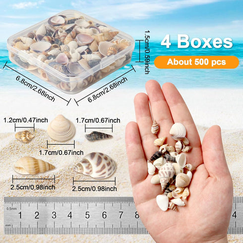 Ira Pollitt Tiny Natural Mixed Ocean Sea Shells Tiny Miniature Beach Critter Seashells Variety Beach Decor Crafts for Arts & Crafts Projects, Home...