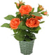 Admired By Nature Artificial Potted Plant, 13' L, Orchid Mix-Rose...
