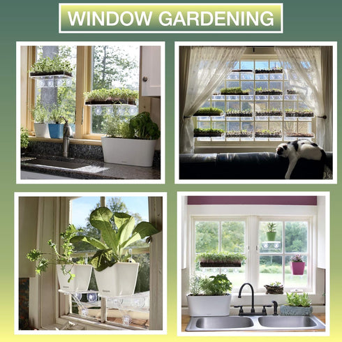 Window Garden – Aquaphoric Self Watering Mini Planter Pots (3 Pack) – Grow On Indoor Sill. Perfect for Potting Small Plants, Herbs, African Violet...