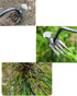 2023 New Weeding Artifact Uprooting Weeding Tool, Premium Manganese Steel Forged Weed Puller 4 Teeth Dual Purpose Weeder, Hand Weeder Tool for Gar...