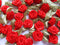 YYCRAFT Pack of 100 pcs Red Satin Ribbon Rose w/Leaf Wedding Bride Appliques/craft...