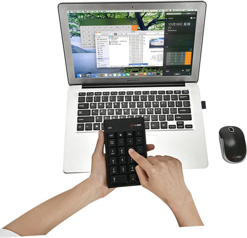 MCSaite Wireless Numeric Keypad & Mouse Combo - Use One Receiver Wireless Number Pad Keyboard and Mouse for Laptop Desktop...