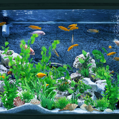 Aquarium Decorations Plants, 25pcs Aquarium Decor Green Plants with Natural Shells, Fish Tank Accessories, Fish Tank Large Plant Plastic Decoratio...