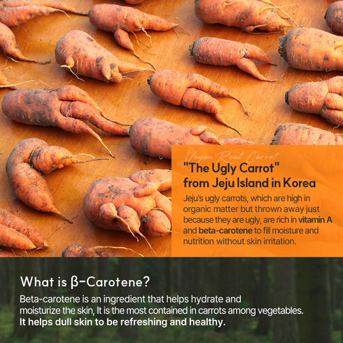 VPROVE Real Carrot Ampoule 30ml 1.01 fl. oz. | Serum | Essence | Moisturizing | Hydrating | Soothing | Korean Skin Care | Skincare...